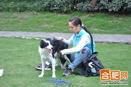 Long braid girl trained her dogs