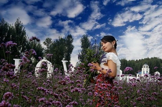 Yu Jing in love flowers